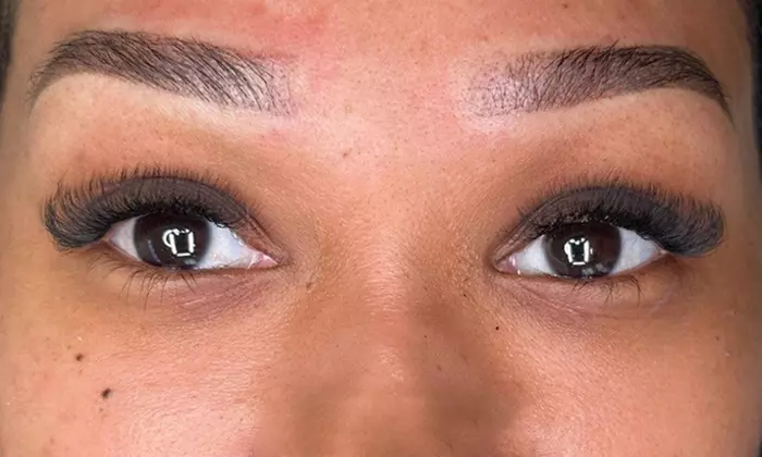 Signature Lash Collections: Classic to Mega-Volume at Venus Room