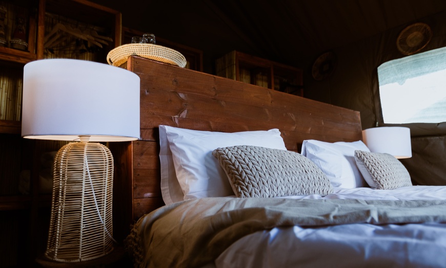 Image 10: Zimbabwe: 7-Night Yoga & Safari Retreat