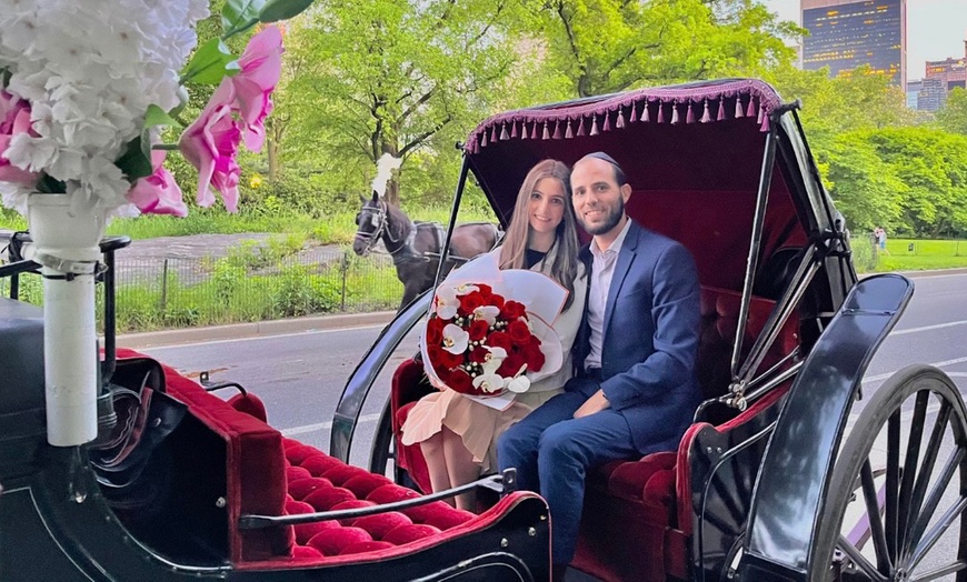 Image 6: Central Park Tours: Mini, VIP, Night, Moonlight, & More - Up to 4 