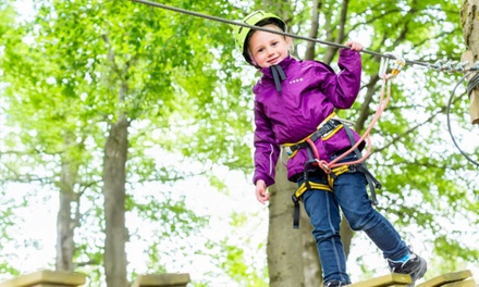 High Rope Course - Compete High