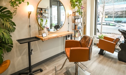 One Women's Haircut and Single Process Hair Color - Hairflow With Lo