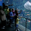Image 1: Aquarium of the Pacific: Admission for All Ages Up to 33% Off