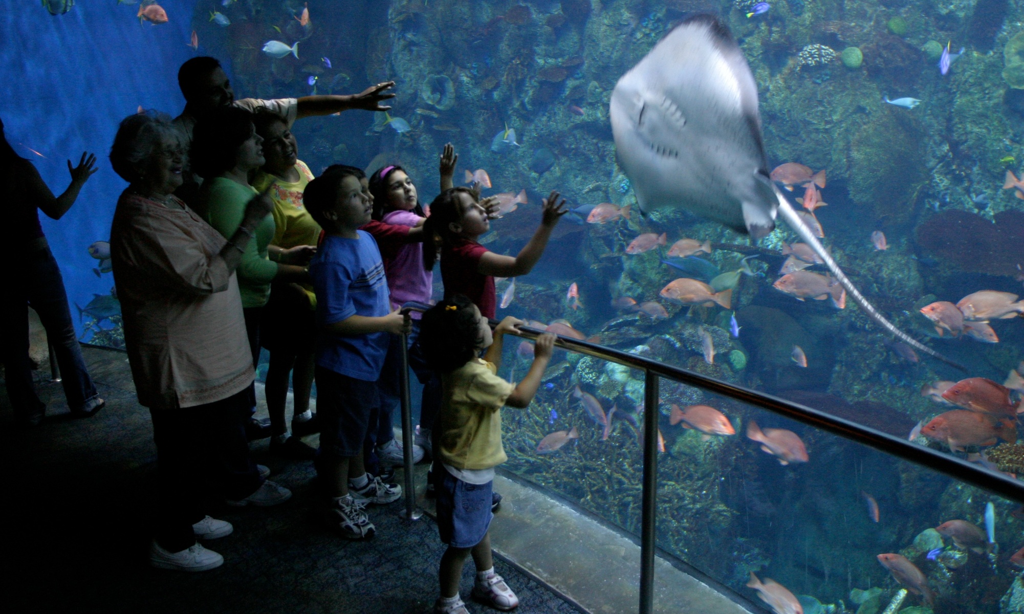 Aquarium of the Pacific: Admission for All Ages Up to 33% Off