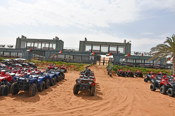 What to expect media