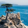 Image 3: Uncover the Best of Alcatraz & San Francisco Tour for 1, 2, / 4 People