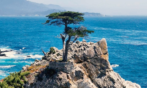 What to expect media