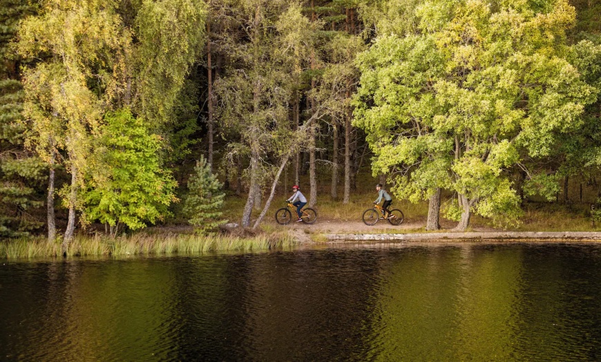 Image 6: Carrbridge: Standard One or Two-Bedroom Cabin for Up to Four People