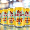Image 1: Old Jamaica Ginger Beer - 24 x 330ml Cans, Authentic Jamaican Root Ginger