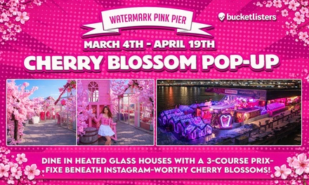 VIP General Admission with FLEX PASS Weekday Ticket Monday-Thursday - Pink Pier at Watermark