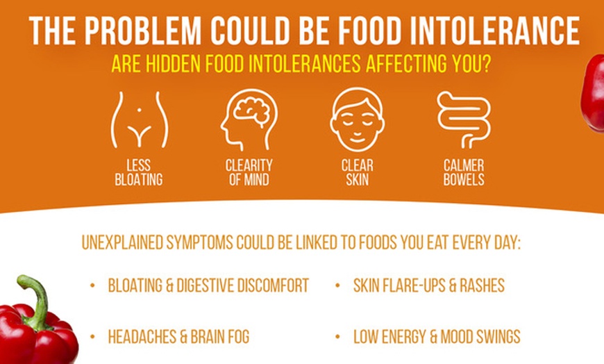 Image 10: Comprehensive At-Home Food and Digestive Screening Tests
