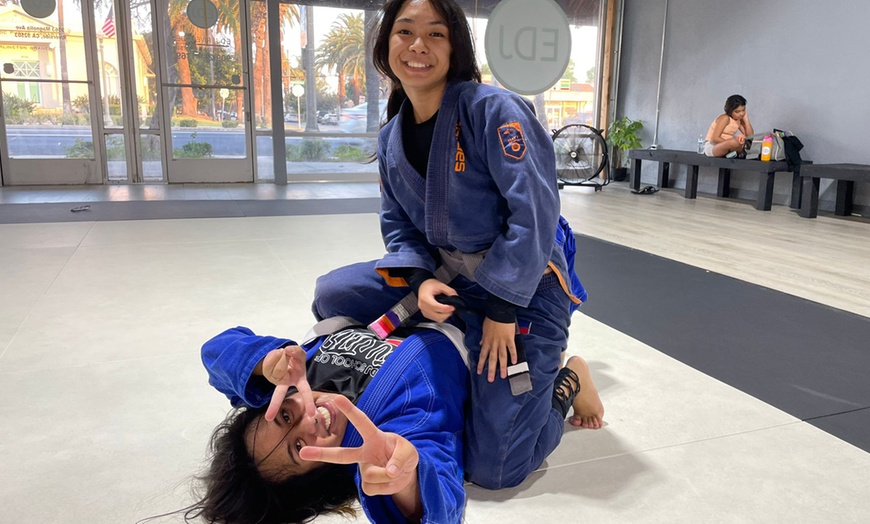 Image 2: Six Weeks of Brazilian Jiu-Jitsu Classes for One Adult or One Child 