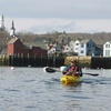 Image 1: Kayak Tours & Water Rentals for 2 or 4