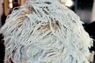 Experience Stunning Transformation with Shampoo, Conditioner, Blow out, Highlights, & More at 40% Off) - Second Medium