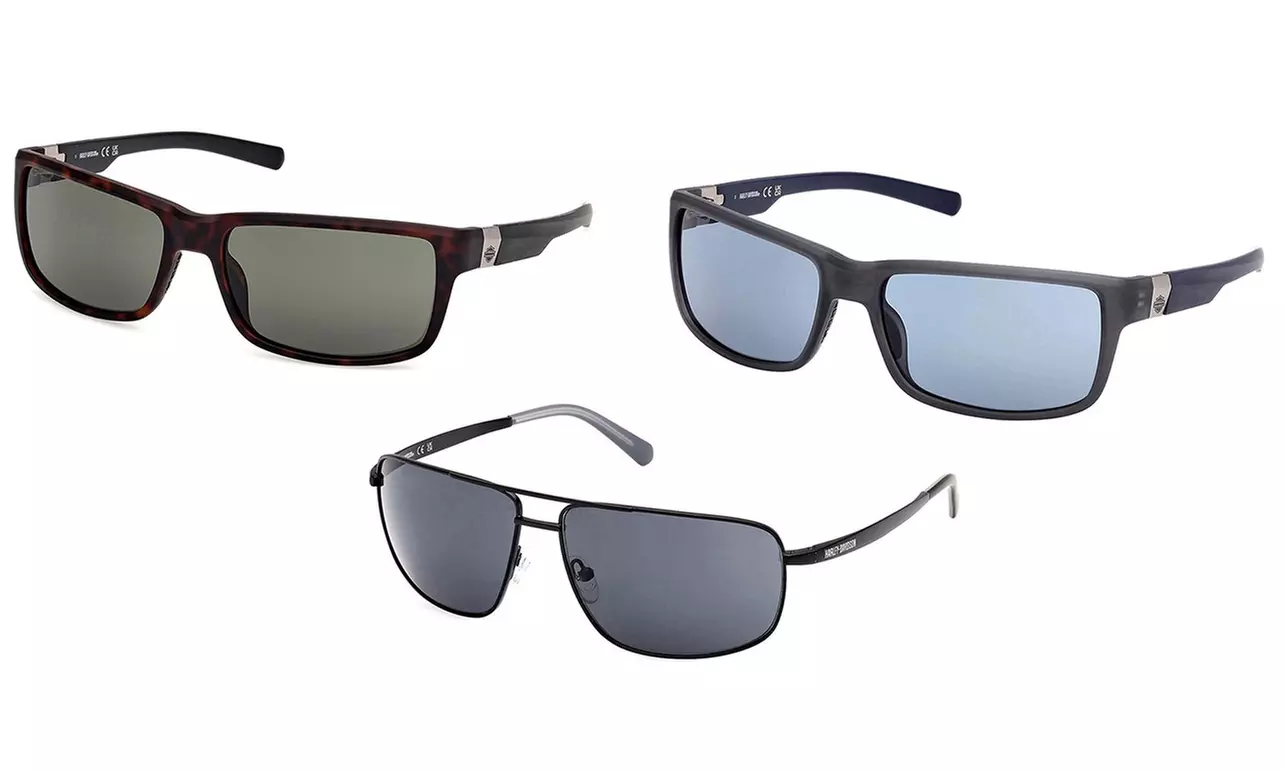 Harley-Davidson Men's Sunglasses