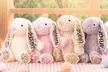 Plush Toys from Justyling.com - Image 2