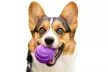 FurHaven Fetch N' Fun TPR Ball Squeaky Dog Toy 3-Pack - Second Medium