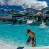 Image 21: Entrada para niño o adulto a parque acuático Aqualava en Lanzarote