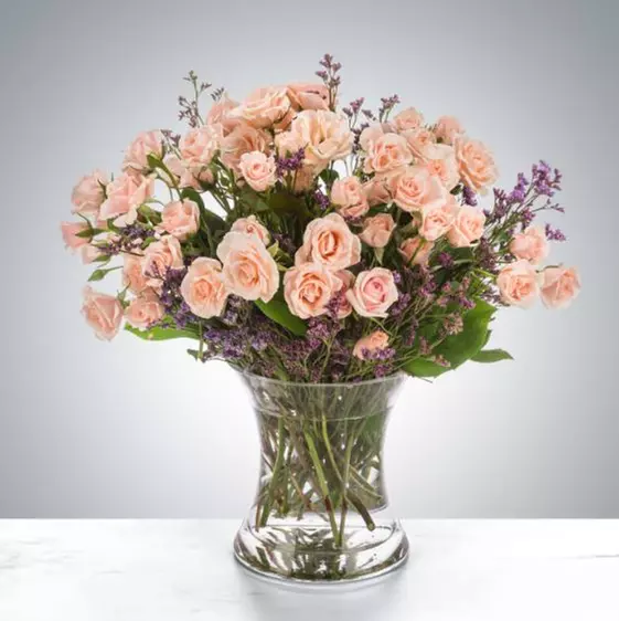 Bouquest: Creamsicle or Rose Gold, Little dreamer or You Light Room