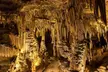 Dive into Kentucky fun with GetOutPass and explore Top Spots like Beech Bend Park—Save up to 50% - Second Medium