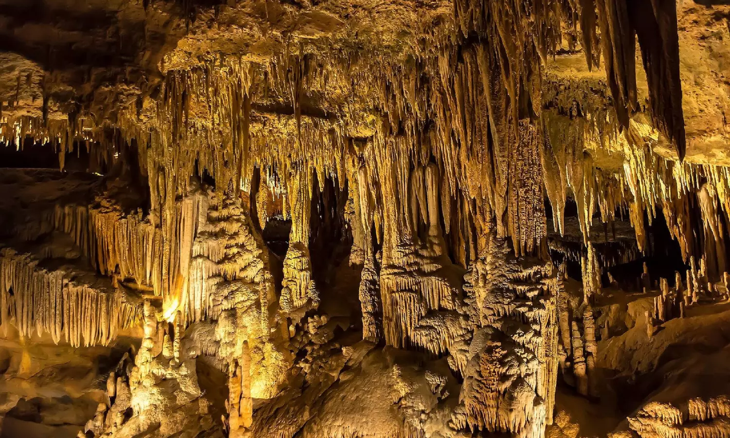 GetOutPass Kentucky: One Pass, Endless Fun for One Person!