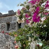 Image 3: Admission to Coral Castle, Miami’s Enigmatic Stone Marvel
