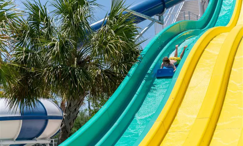Baytown's Best! Waterpark Fun for 1, 2 or 4!
