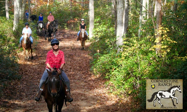 What to expect media