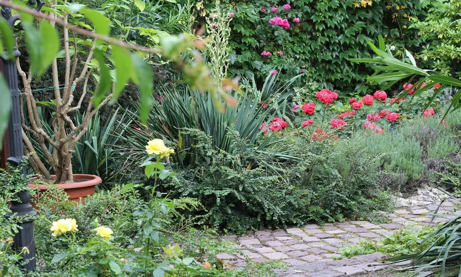 iLiftingujący masaż twarzy i szyi