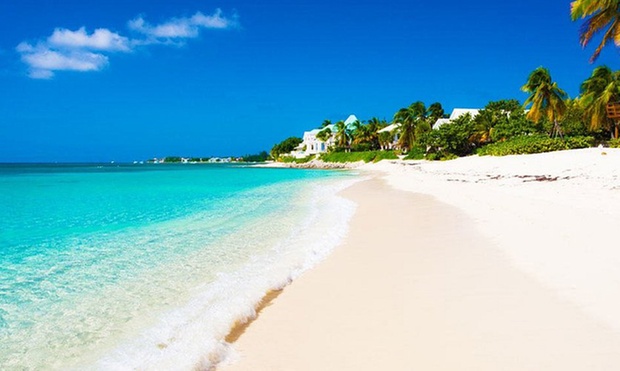 What to expect media