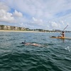 Image 2: Guided Snorkeling Adventure in Fort Lauderdale’s Crystal-Clear Waters