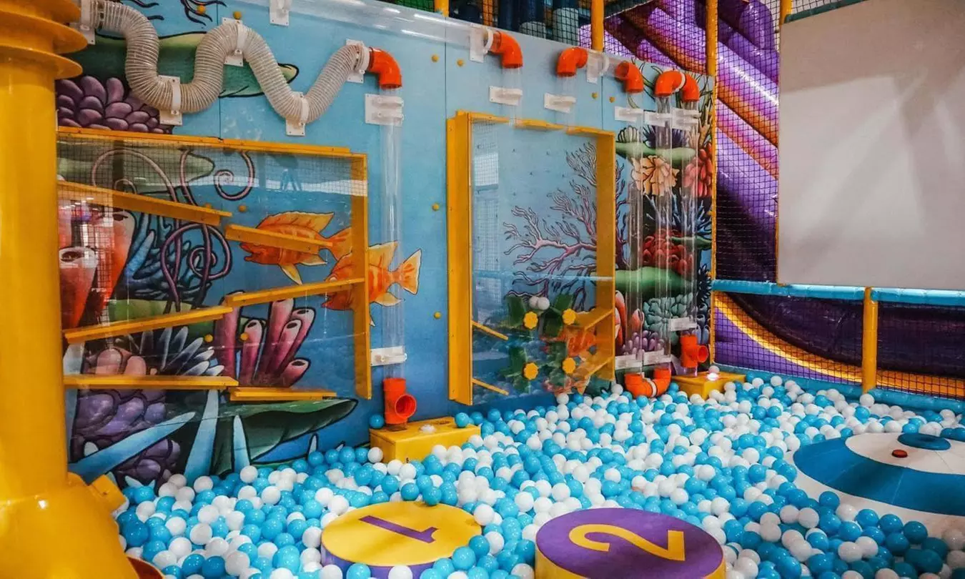 Day Pass For Toddler or Child with Optional School Day Special Pass