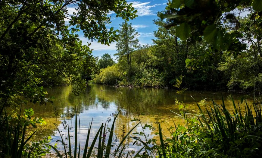 Image 18: Winchester, Hampshire: Spa Stay with Breakfast, Dinner & Spa Treatment