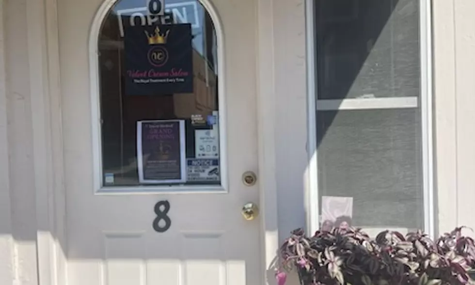 Scissor Haircut w/ Blowout, All Over Color, Partial Highlights, & More