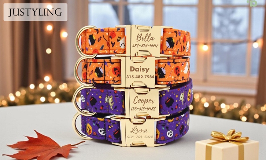 Image 1: Un collier aussi unique que votre animal