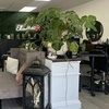 Image 5: Haircut, Condition and Blowout with Highlights, Balayage Options