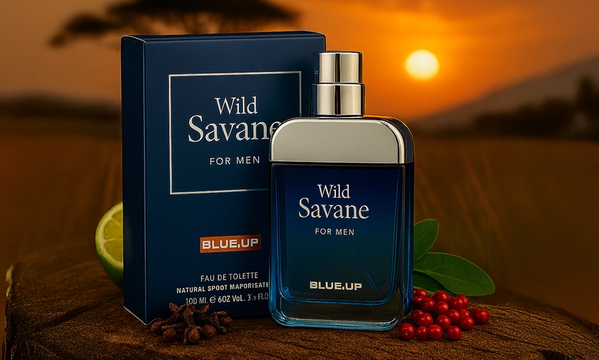 Image 9: 2 fragranze da uomo SDI Paris