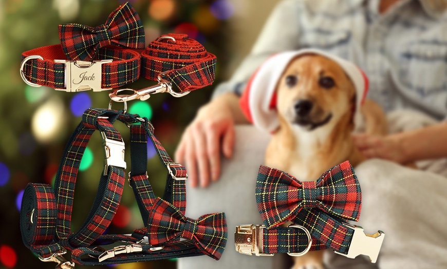 Image 5: Personalisierbares Haustier-Halsband mit integriertem Namensschild