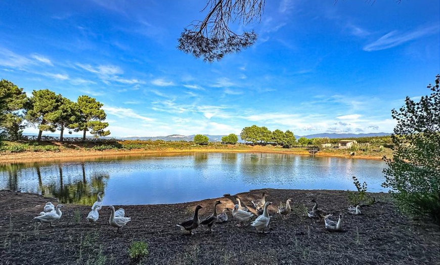 Image 16: Vibo Valentia 4*: camera doppia con colazione, mezza pensione e Spa