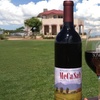 Image 2: HarvestFest 2026 at Sonoita Vineyards 
