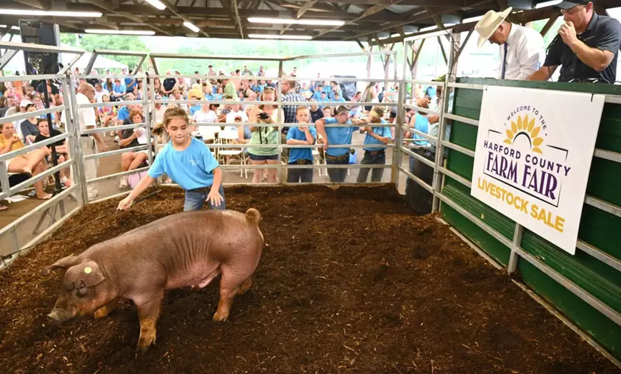 Image 4: Immerse in Fun: Adult or Child Ticket to the Brisbane Easter Show