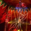 Image 5: Join the Thrill with Circus Brazil Admission Tickets! 