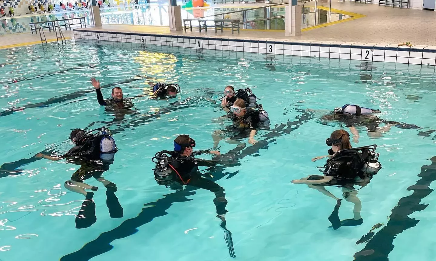Onderwater Wonderland: snorkelles of introductieduik voor 1 of 2 pers.