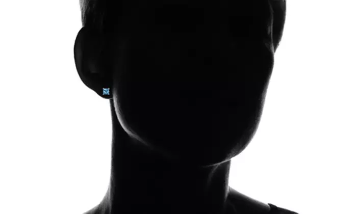 Sterling Silver Simulated Blue Topaz 5mm Princess-cut Stud Earrings