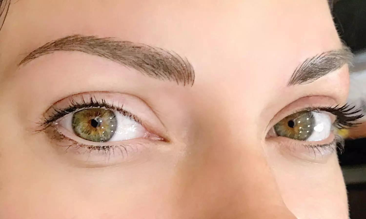 3D or 6D Eyebrow Microblading Session with 4-Week Touchup - Primary Image