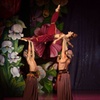 Image 4: Phoenix Ballet The Nutcracker - Up to 60% Off