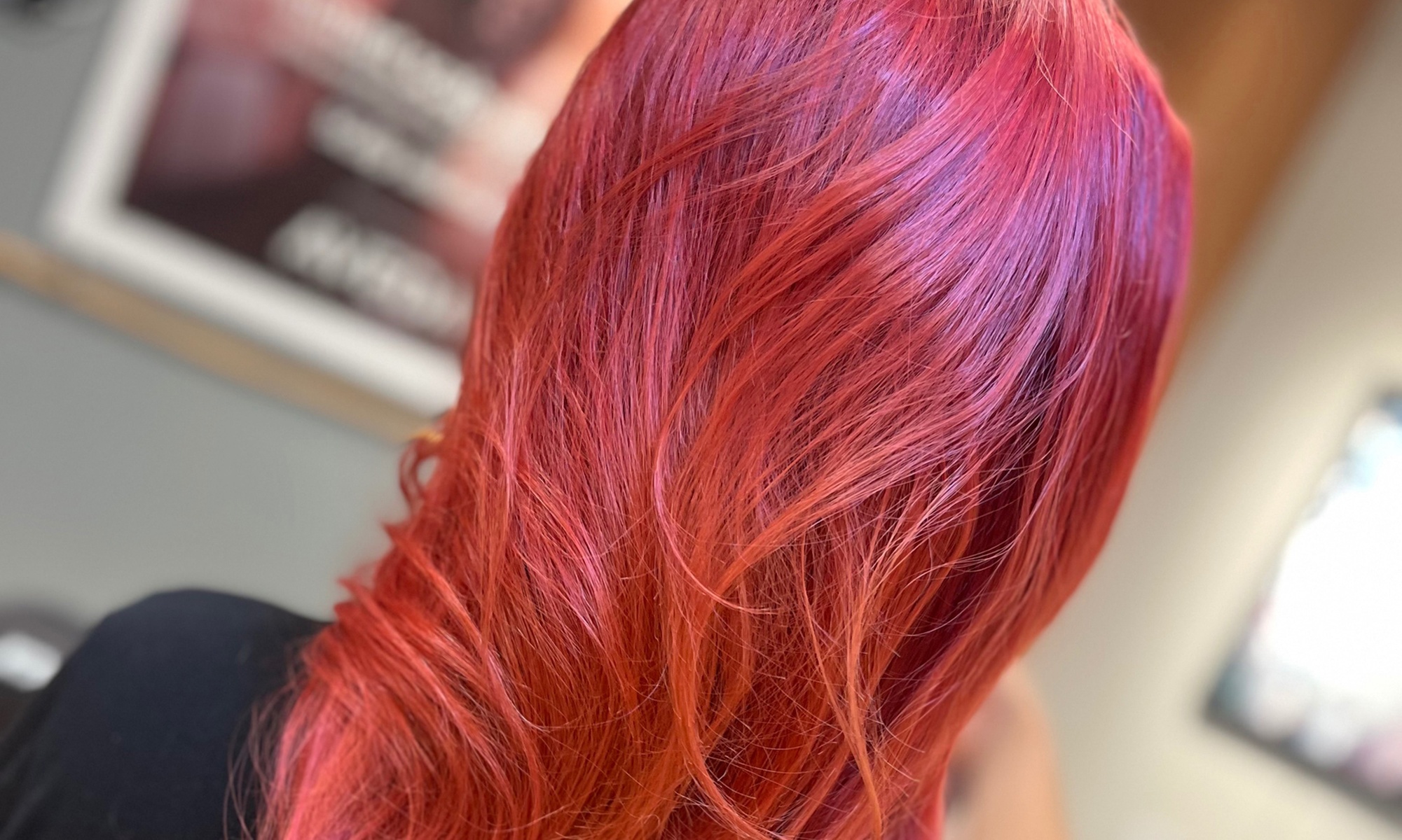 Haircut, Conditioning, Color, Silk Press or Loc Care 