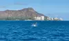 Private 2-Hr Waikiki Sail for Up to 6 Guests with Captain Castaway's Waikiki Sailing Adventures (Up to 35% Off)