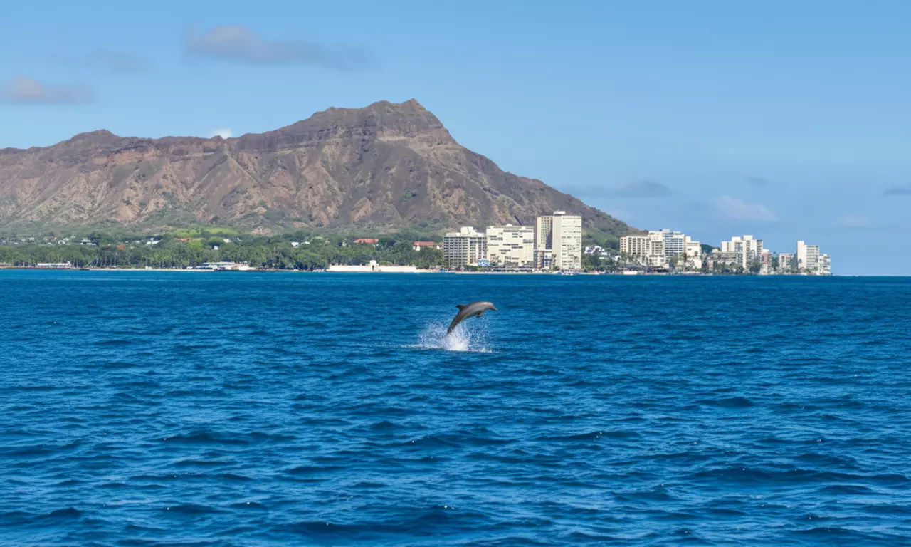 Private 2-Hour Waikiki Sail with Captain Castaway for Up to 6 Guests