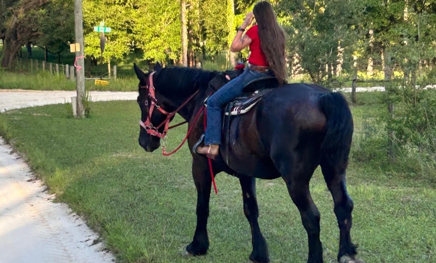Image 10: Guided Trail Rides Through Florida's Scenic Countryside