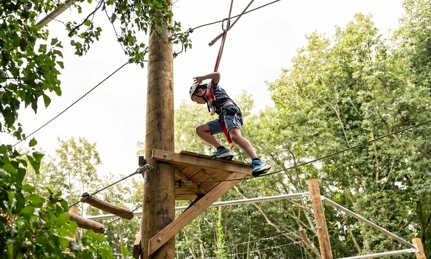 Image 4: Aerial Assault Course and Zip line for One, Two, or Four People 